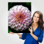 Fotopaneel Dahlia