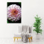 Fotopaneel Dahlia
