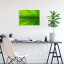 Fotopaneel Blad