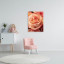 Fotopaneel Roos
