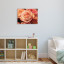 Fotopaneel Roos