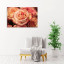 Fotopaneel Roos