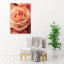Fotopaneel Roos