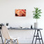 Fotopaneel Roos