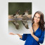 Fotopaneel Vogels
