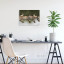Fotopaneel Vogels