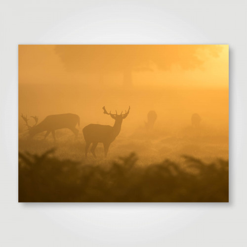 Fotopaneel Herten