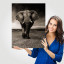 Fotopaneel Olifant