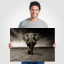 Fotopaneel Olifant