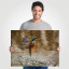 Fotopaneel IJsvogel