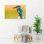 Fotopaneel IJsvogel
