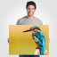 Fotopaneel IJsvogel