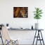 Fotopaneel Leeuw