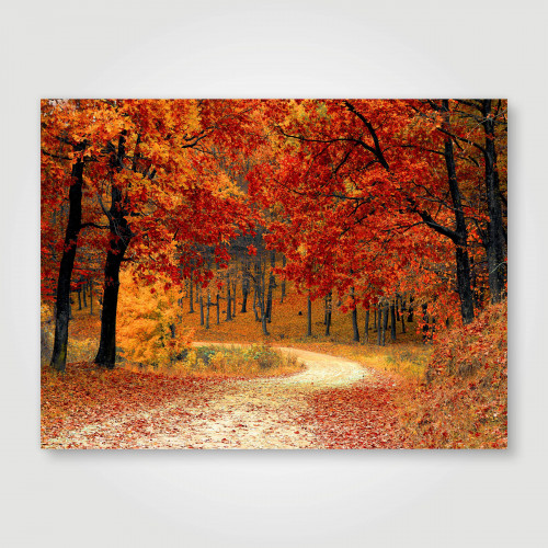 Fotopaneel Herfstpad